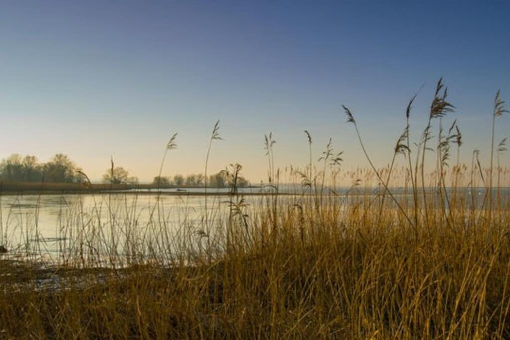 Bodensee Apartments, Sauna, Lake Walks, Free Parking, Self Checkin, Nature Reserve, Restaurants Nearby Gaissau  Bagian luar foto