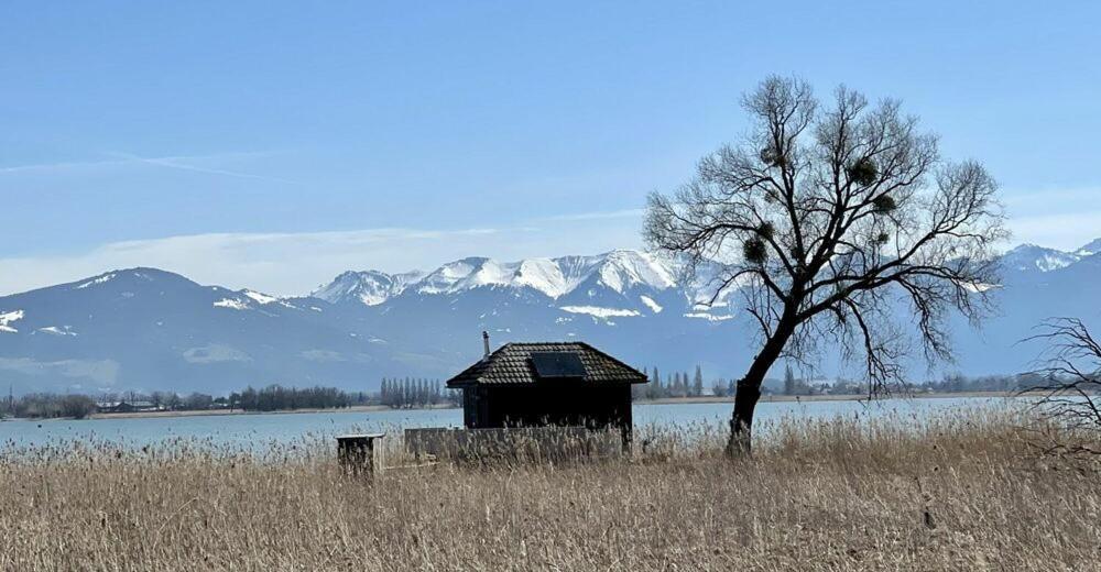 Bodensee Apartments, Sauna, Lake Walks, Free Parking, Self Checkin, Nature Reserve, Restaurants Nearby Gaissau  Bagian luar foto