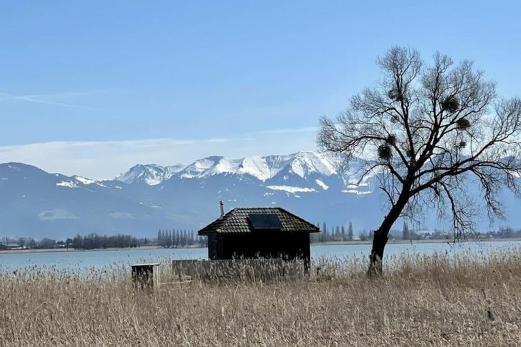 Bodensee Apartments, Sauna, Lake Walks, Free Parking, Self Checkin, Nature Reserve, Restaurants Nearby Gaissau  Bagian luar foto