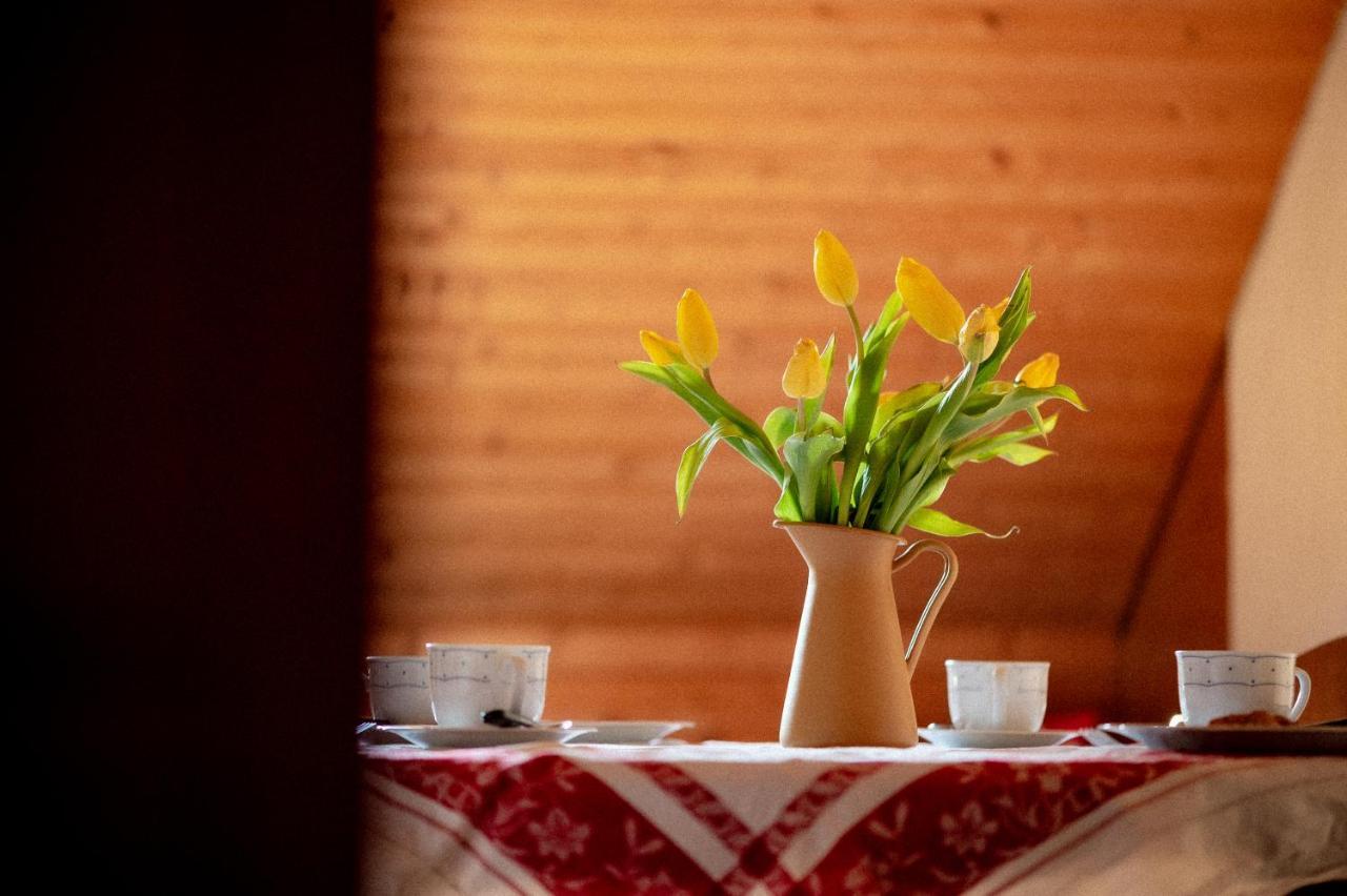 Bodensee Apartments, Sauna, Lake Walks, Free Parking, Self Checkin, Nature Reserve, Restaurants Nearby Gaissau  Bagian luar foto