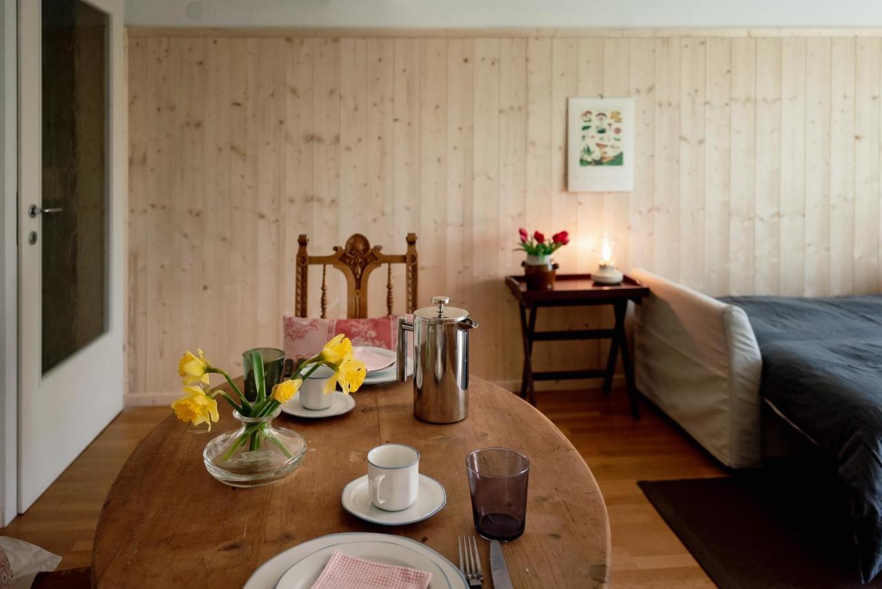 Bodensee Apartments, Sauna, Lake Walks, Free Parking, Self Checkin, Nature Reserve, Restaurants Nearby Gaissau  Bagian luar foto